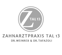 z13-logo